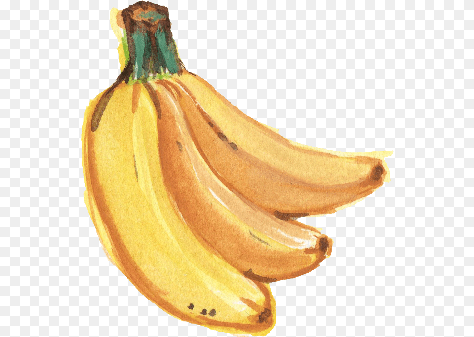 Banana Transparent Images Banana Paint Banana Watercolor, Food, Fruit, Plant, Produce Png Image