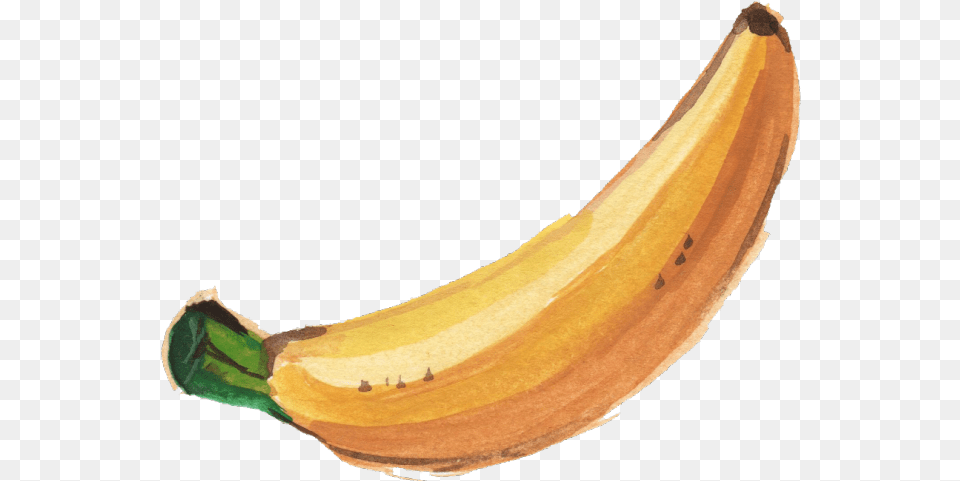 Banana Transparent Images Transparent Banana Watercolor Banana, Food, Fruit, Plant, Produce Free Png