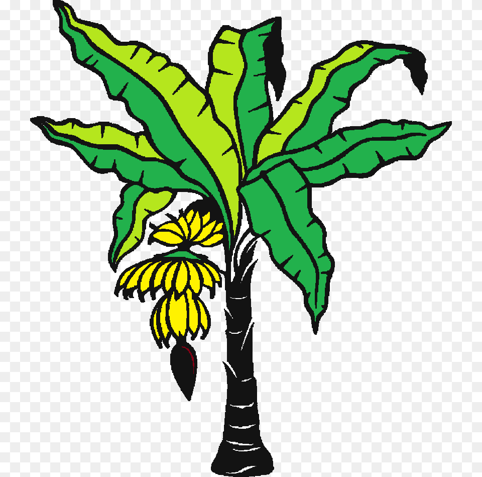 Banana Tree, Leaf, Food, Fruit, Produce Free Png Download