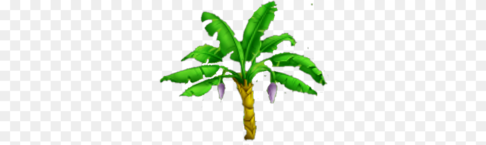 Banana Tree Banaana Tree Hd, Produce, Plant, Palm Tree, Leaf Png Image