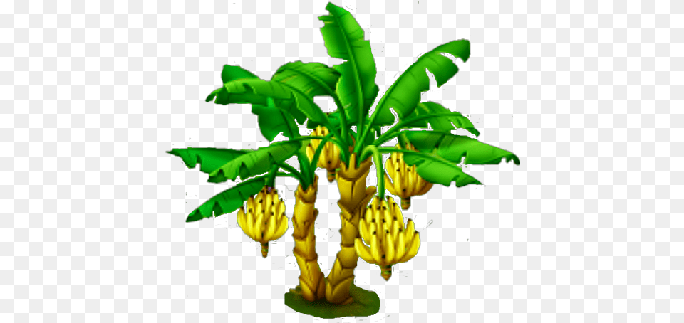 Banana Tree Banana Tree, Food, Fruit, Plant, Produce Png Image