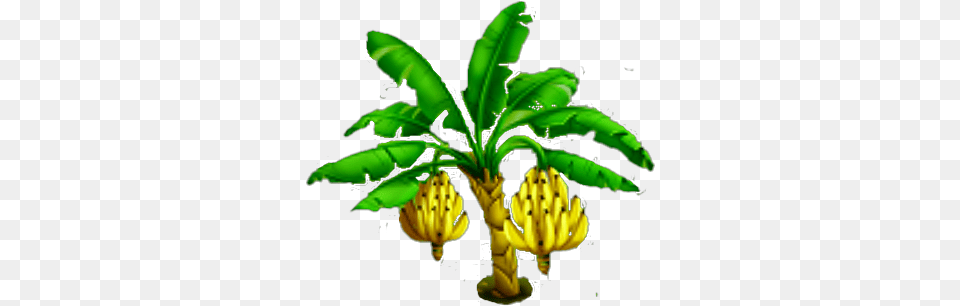 Banana Tree Banana Tree With Fruit Logo, Food, Plant, Produce Free Transparent Png