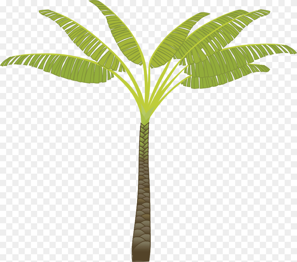 Banana Tree Cartoon, Leaf, Palm Tree, Plant Free Transparent Png