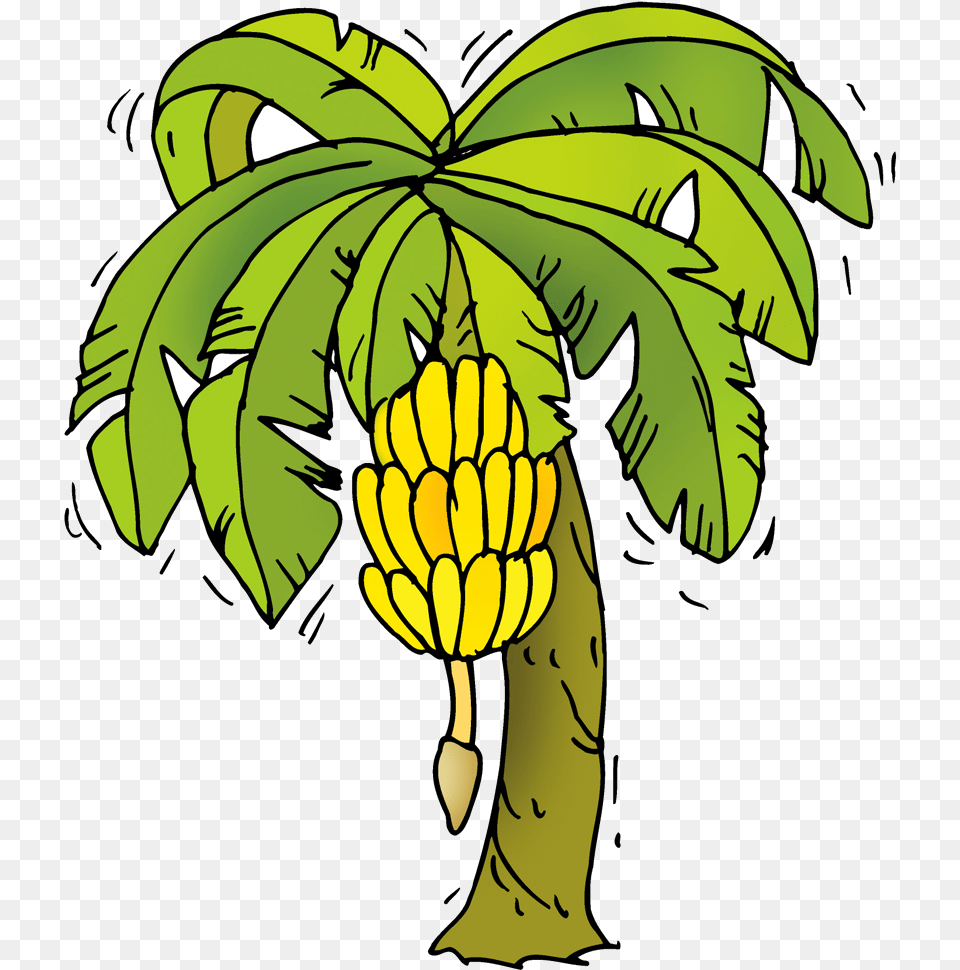 Banana Tree Cartoon Download Banana Tree Clipart, Food, Fruit, Plant, Produce Png