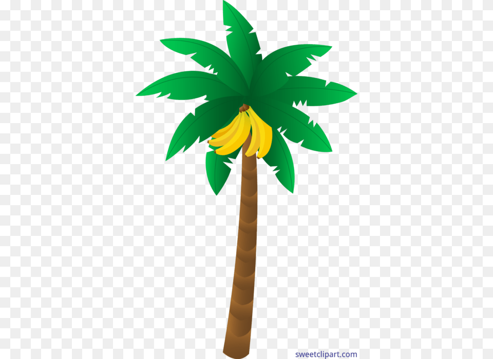 Banana Tree Clip Art, Palm Tree, Plant, Leaf, Cross Free Png