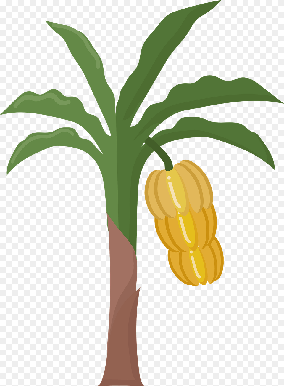 Banana Tree Clipart, Food, Produce, Corn, Grain Png Image
