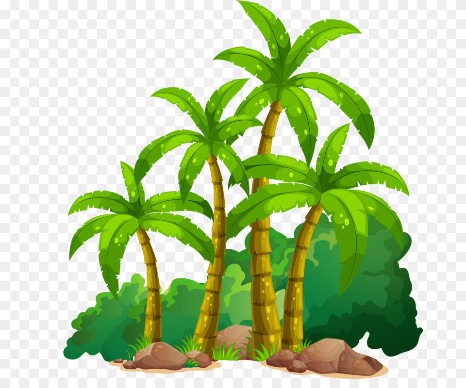 Banana Tree Clipart, Plant, Vegetation, Jungle, Nature Free Png