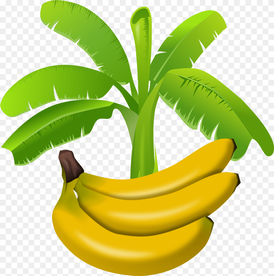 Banana Tree Clipart Gambar Pohon Pisang Kartun, Food, Fruit, Plant, Produce Free Png