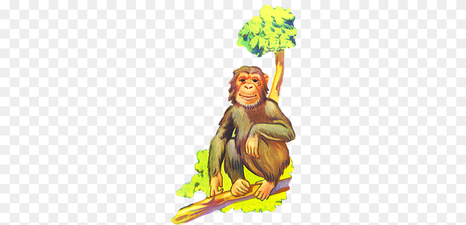 Banana Tree Drawing Drawing, Animal, Ape, Mammal, Wildlife Free Transparent Png