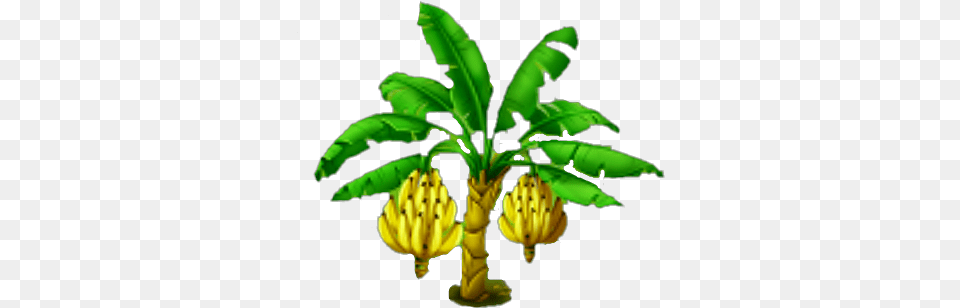 Banana Tree Images, Food, Fruit, Leaf, Plant Free Transparent Png