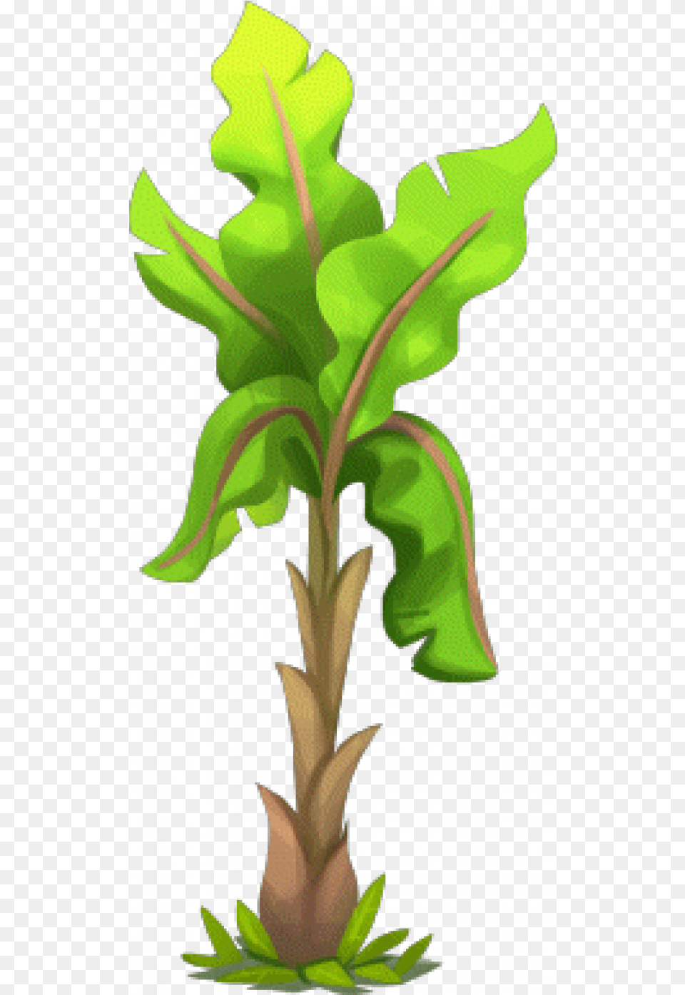 Banana Tree Images Banana Tree Hd, Leaf, Plant, Green, Vegetation Free Transparent Png
