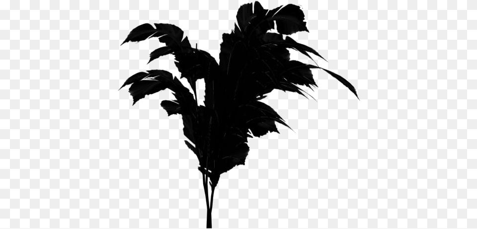 Banana Tree Leaves Transparent Images Transparent Jungle Trees, Silhouette, Plant Free Png Download