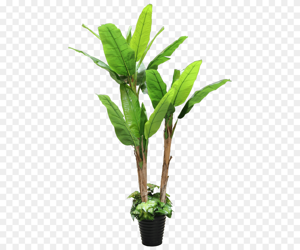 Banana Tree Simulation Green Planted Floor Tree Potted Interior, Leaf, Plant, Flower, Flower Arrangement Free Png Download