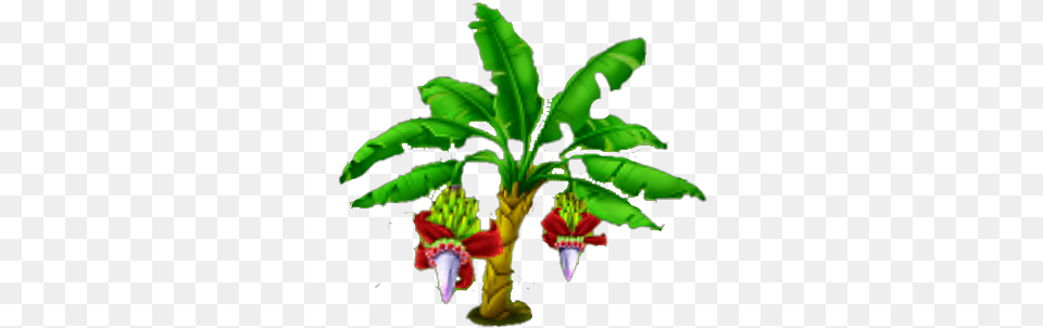 Banana Tree Stage, Food, Fruit, Plant, Produce Png Image