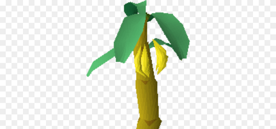 Banana Tree Tree, Leaf, Plant, Person, Food Free Png