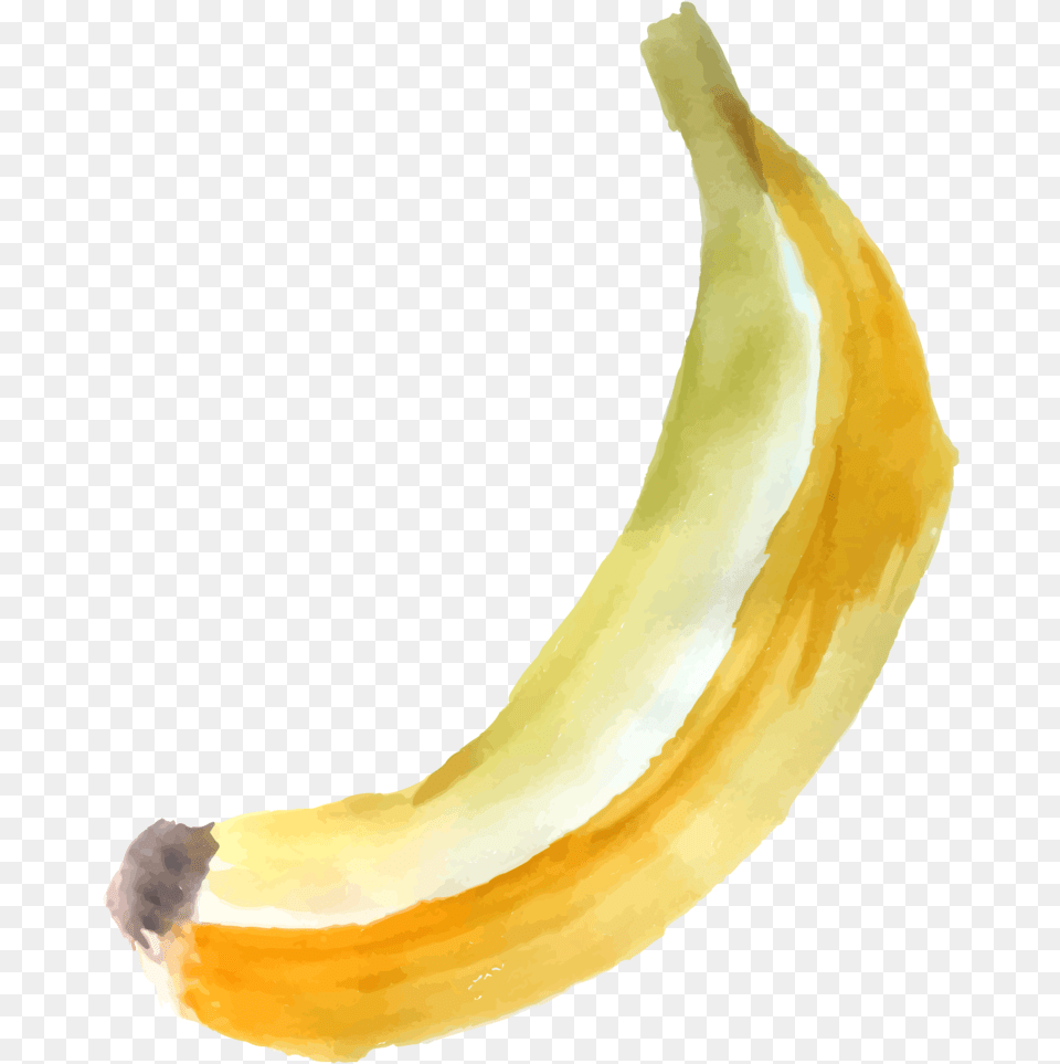 Banana With Transparent Background Saba Banana, Food, Fruit, Plant, Produce Free Png