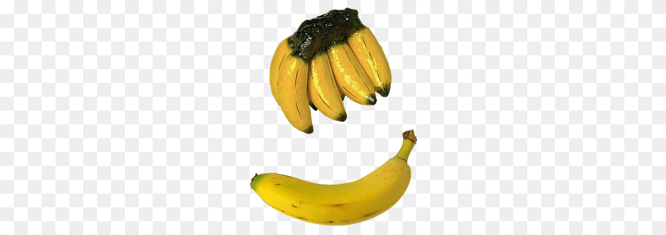Bananas Banana, Food, Fruit, Plant Png