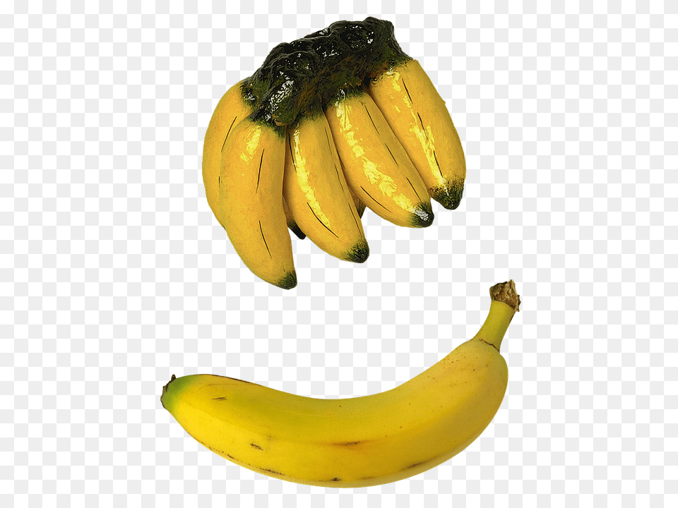 Bananas Banana, Food, Fruit, Plant Png