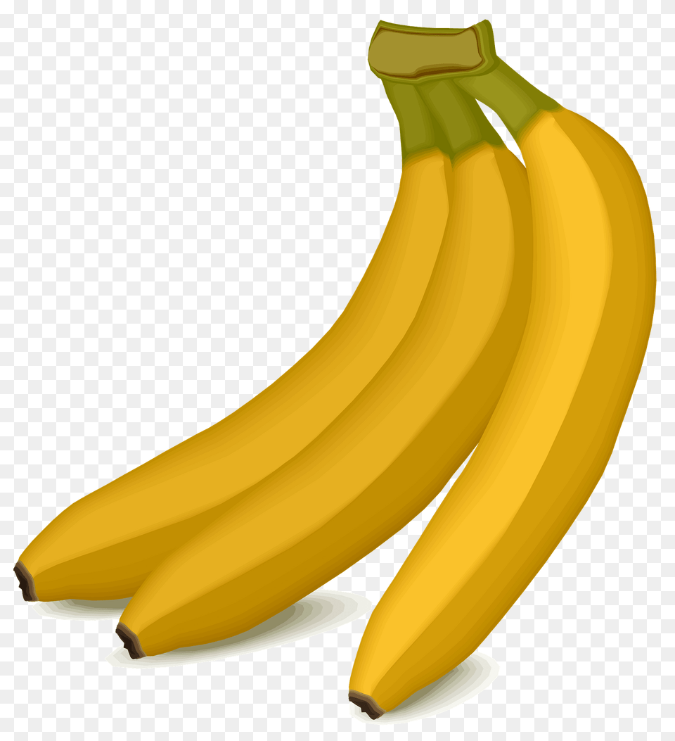 Bananas Clipart, Banana, Food, Fruit, Plant Png Image
