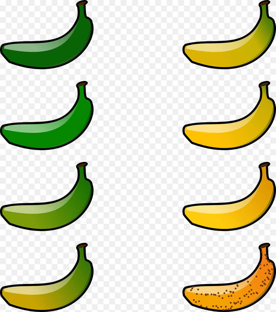 Bananas Clipart, Banana, Food, Fruit, Plant Free Png