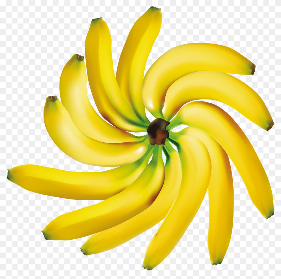 Bananas Decoration Clipart, Banana, Food, Fruit, Plant Free Png