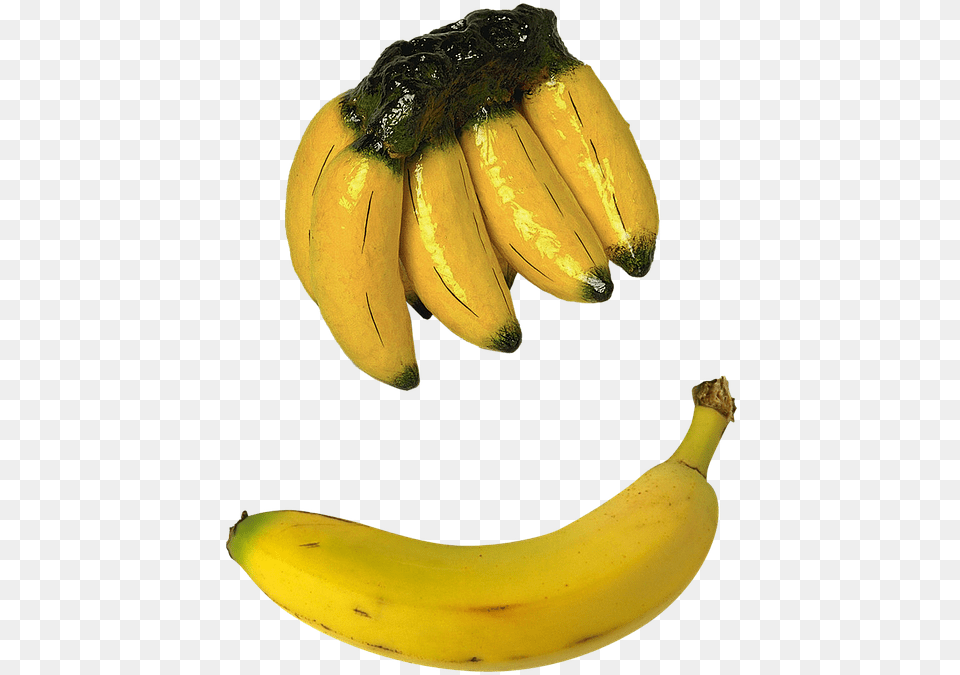 Bananas Fruit Treats Table Kitchen Cooking Saba Banana, Food, Plant, Produce Png