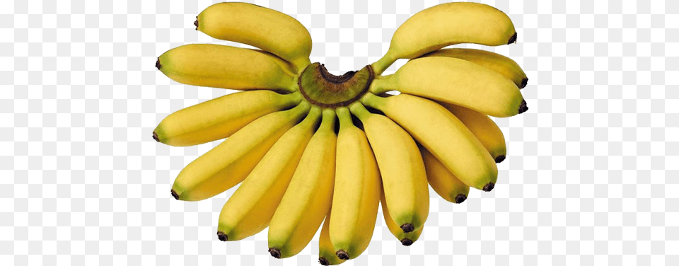 Bananas Lady Finger Lady Finger Banana, Food, Fruit, Plant, Produce Free Transparent Png