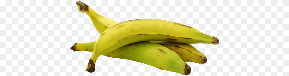Banane Plantain Legume Bonduelle Banane Plantain, Banana, Food, Fruit, Plant Png Image