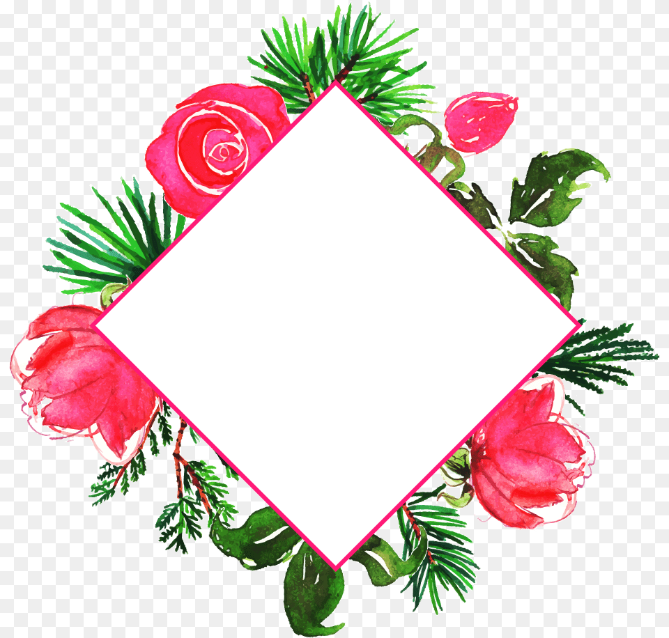 Band Picture Pop Band, Rose, Plant, Flower, Pattern Png Image