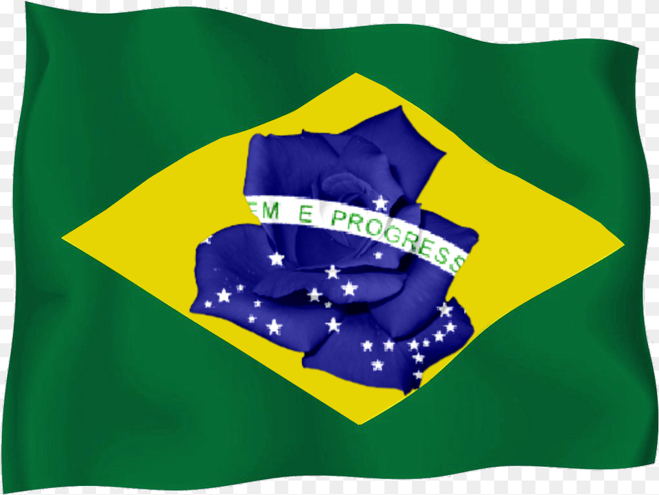 Bandeira Do Brasil, Flag, Baby, Person Png Image