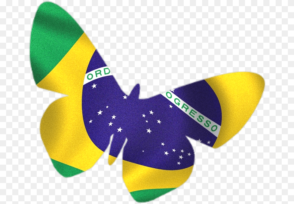 Bandeira Do Brasil Estilizada Em Flag Of Brazil, Animal, Bird Free Png Download