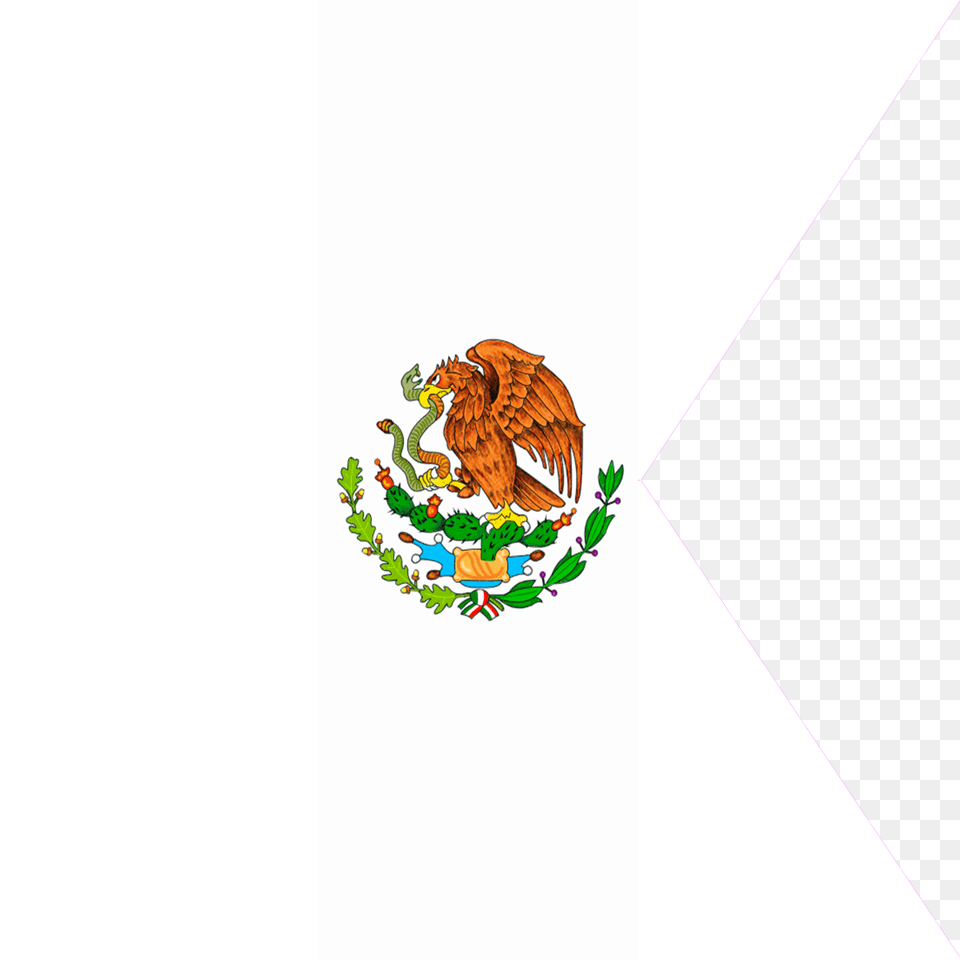 Bandera De Generales Y Del Mexico, Animal, Bird Free Transparent Png