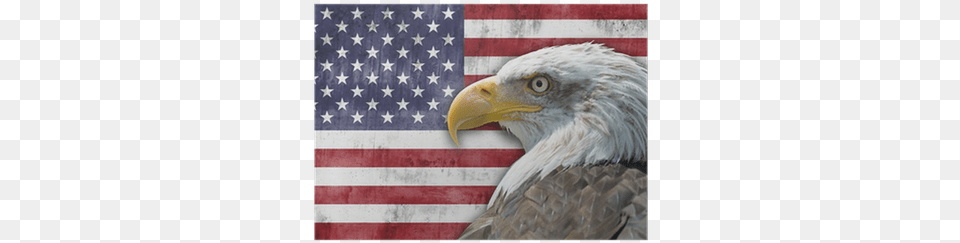 Bandera De Los Estados Unidos De Amrica Con El Guila Happy Fourth Of July Heart, American Flag, Flag, Animal, Bird Free Png Download