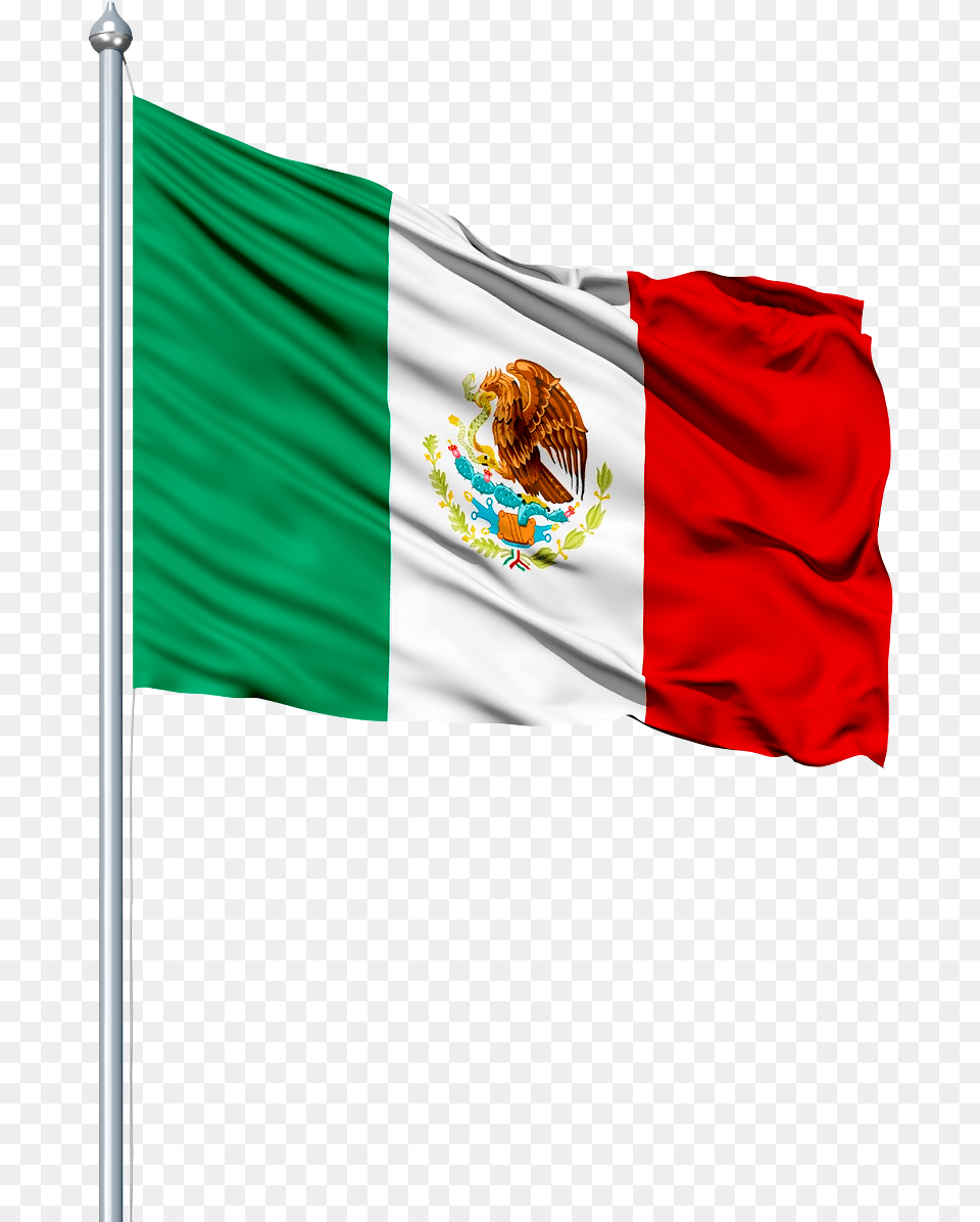 Bandera De Mexico, Flag, Mexico Flag, Adult, Bride Png Image