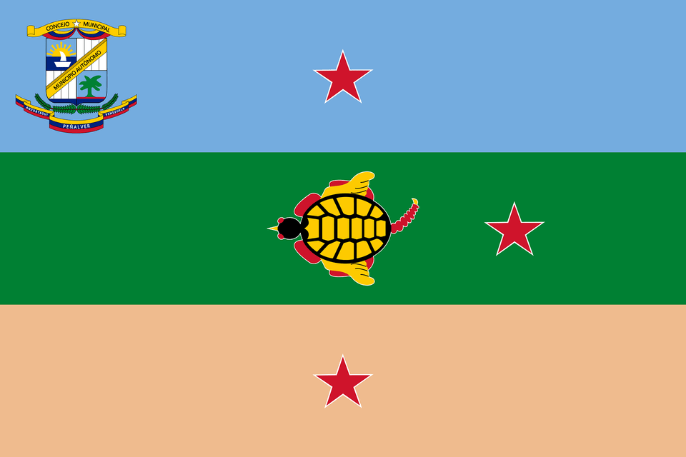 Bandera Del Municipio Clipart, Animal, Reptile, Sea Life, Turtle Png Image