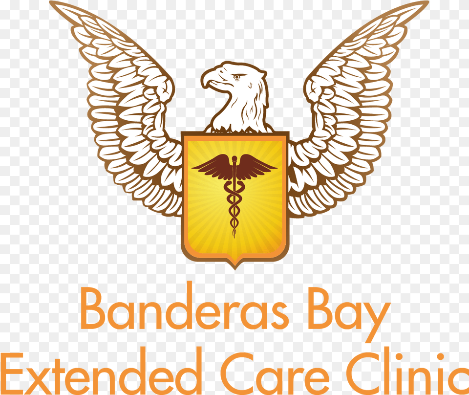 Banderas Bay Extended Care Clinic Sayulita Nayarit E Pluribus Unum Tattoo Eagle, Symbol, Logo, Animal, Bird Png Image