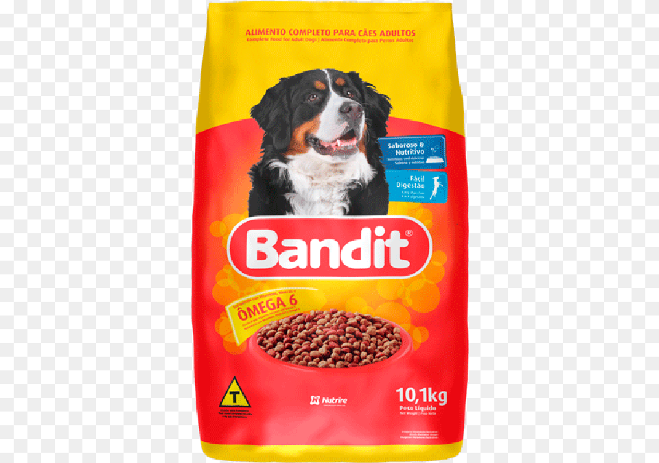 Bandit, Animal, Pet, Mammal, Dog Png