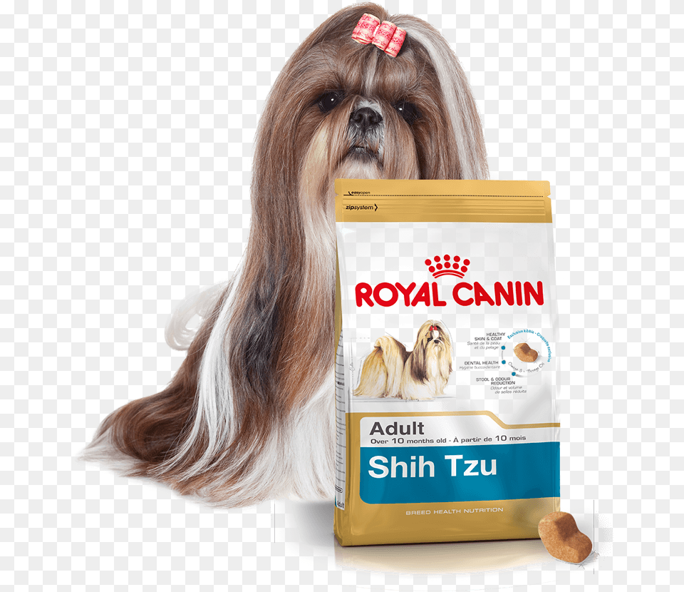 Baner Royal Canin Shih Tzu Adult, Hound, Animal, Canine, Dog Free Png Download