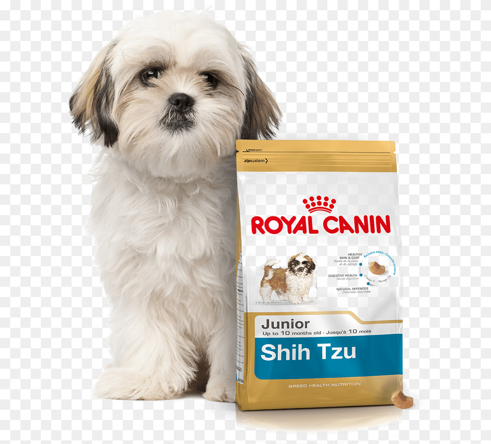 Baner Royal Canin Shih Tzu Junior, Animal, Canine, Dog, Mammal Free Transparent Png