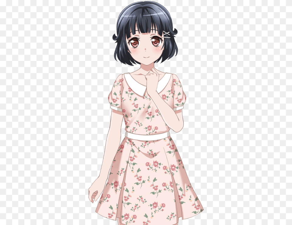 Bang Dream Wikia Rimi Ushigome Cosplay, Publication, Gown, Formal Wear, Fashion Png