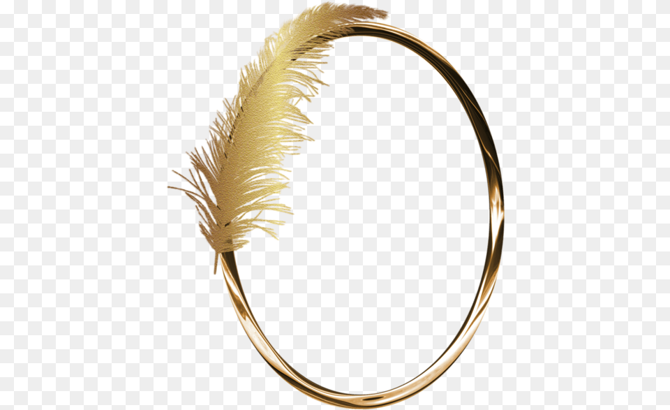 Bangle 2019, Accessories, Jewelry, Gold, Bracelet Free Png Download