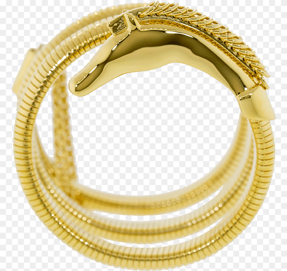 Bangle, Accessories, Gold, Jewelry, Bracelet Free Transparent Png