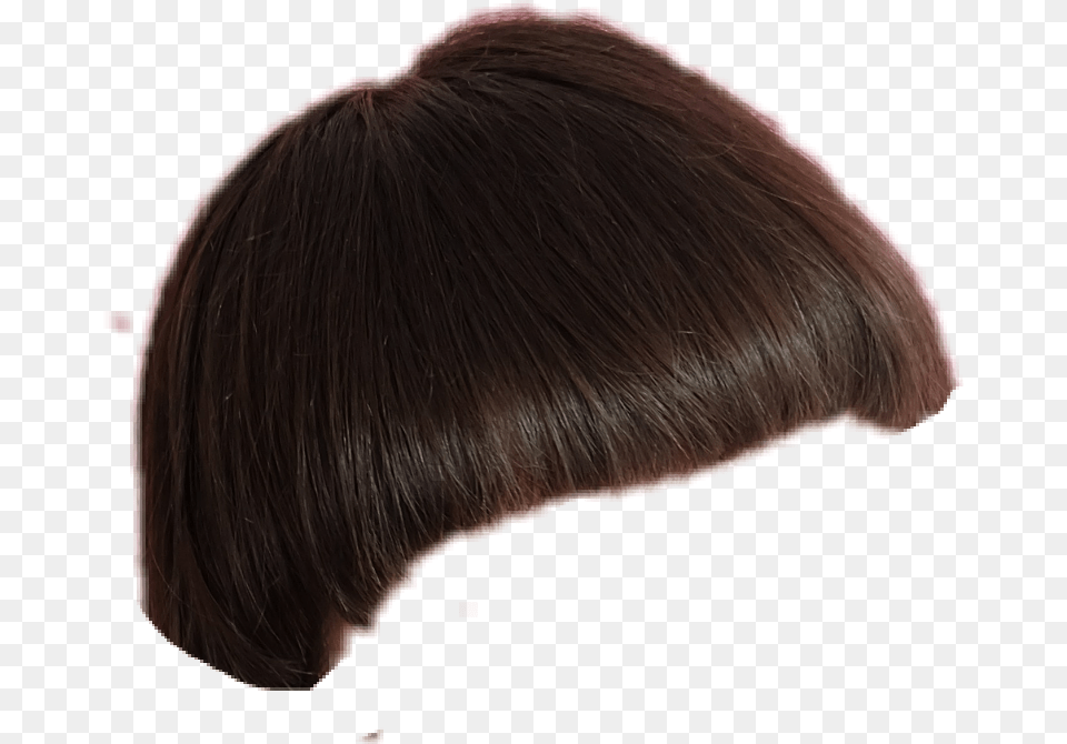 Bangs Fakeban Lace Wig, Adult, Female, Person, Woman Free Png Download