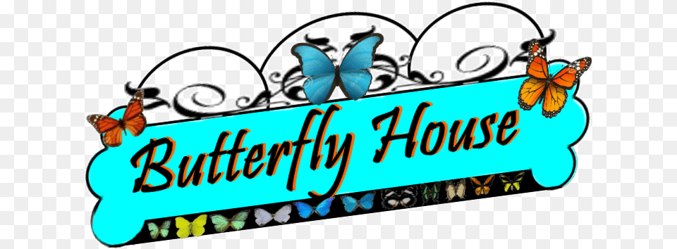 Banner 2 Butterfly Medicine Metamorphosis From Caterpillar, Turquoise, Accessories, Dynamite, Weapon Free Png Download