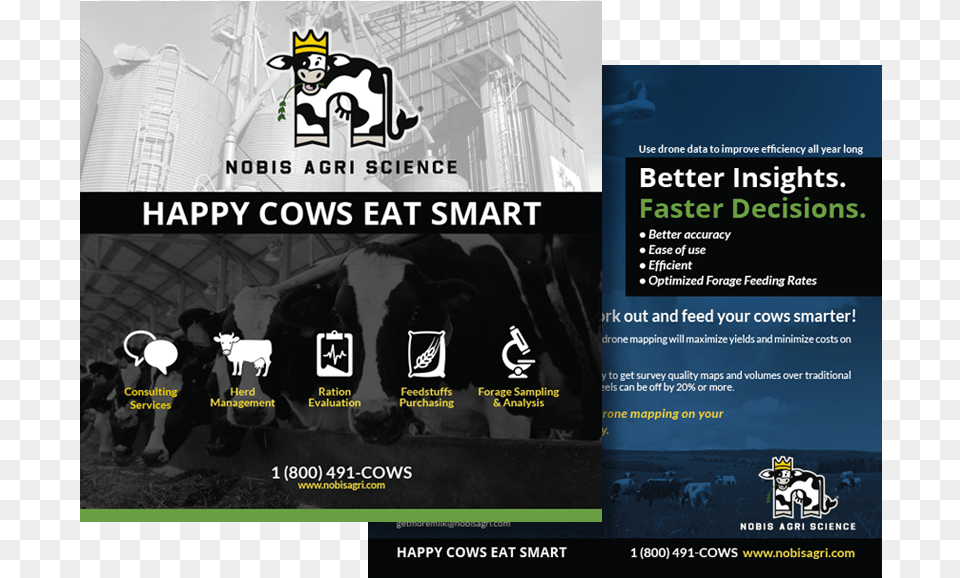 Banner, Advertisement, Poster, Cattle, Animal Png Image