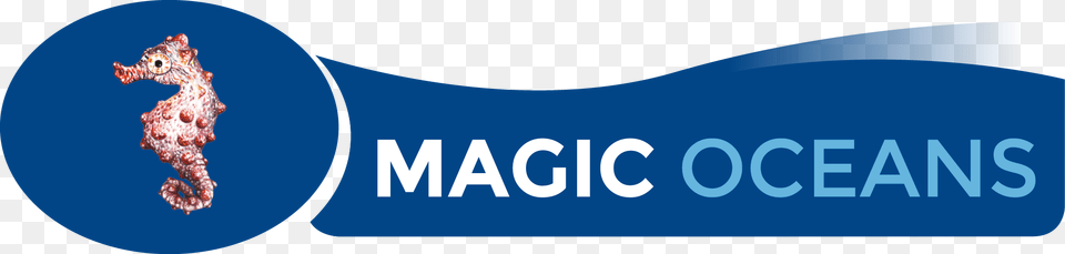 Banner, Animal, Mammal, Sea Life Png