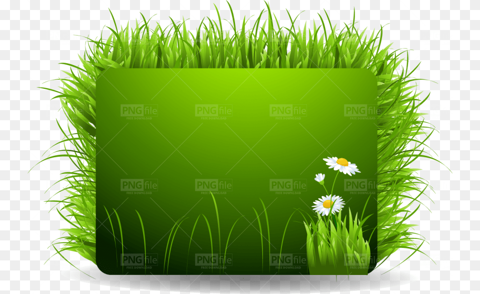 Banner All Vector, Daisy, Plant, Potted Plant, Jar Free Transparent Png