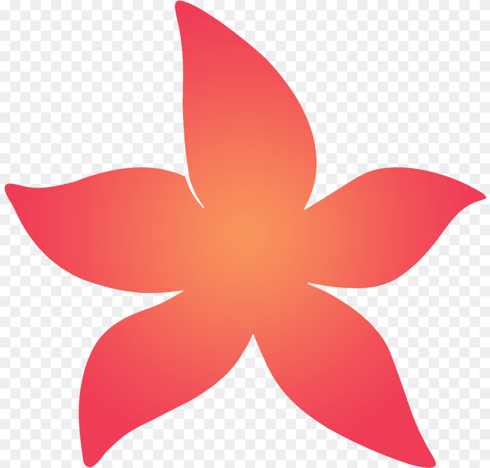 Banner Banner Banner Flower, Petal, Leaf, Plant, Shark Free Png Download