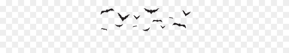 Banner Bats, Animal, Mammal, Wildlife, Person Png