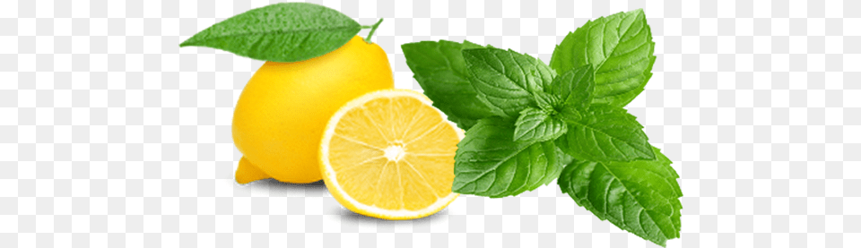 Banner Black And White Dnr Turkish Restaurant Lemon Roblox, Citrus Fruit, Food, Fruit, Herbs Png Image